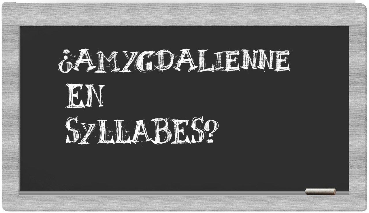 ¿amygdalienne en sílabas?