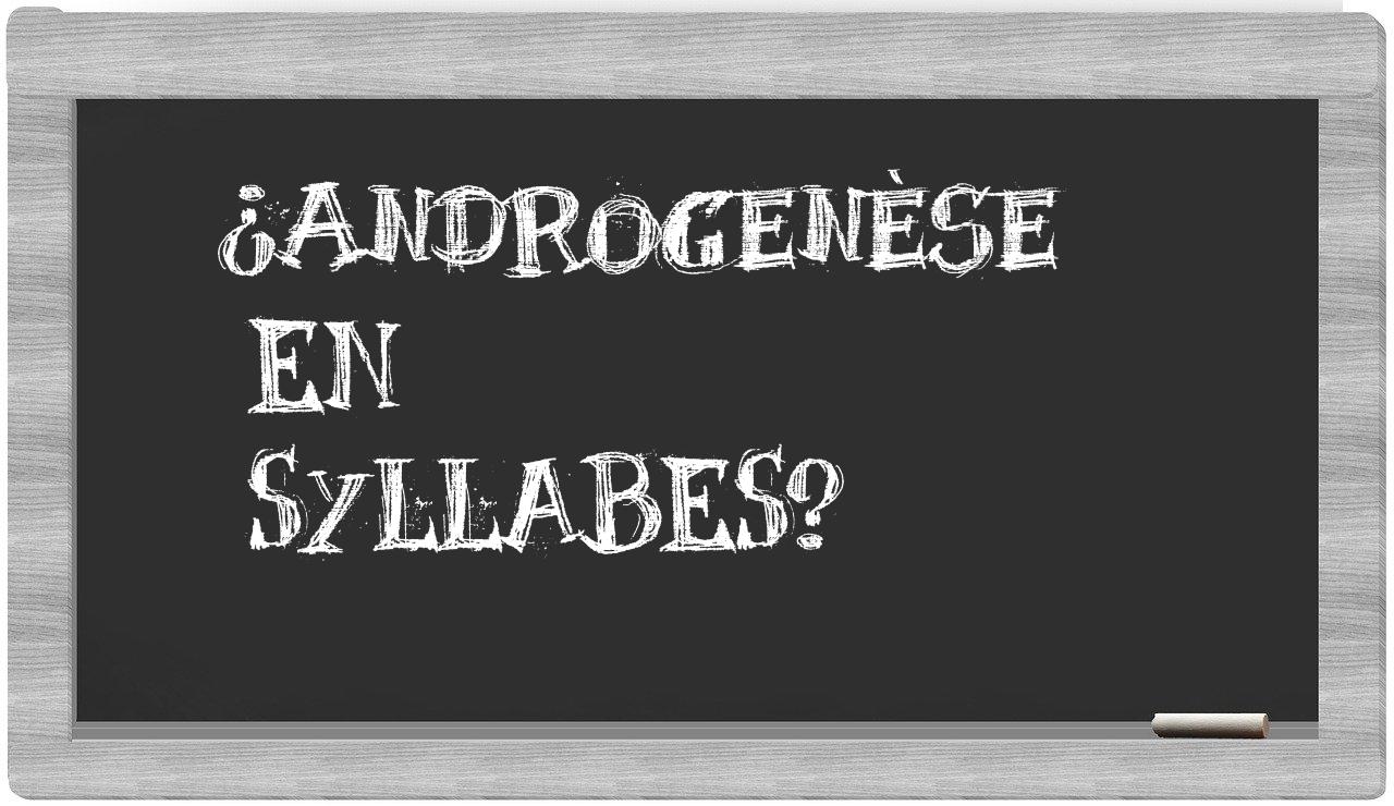 ¿androgenèse en sílabas?