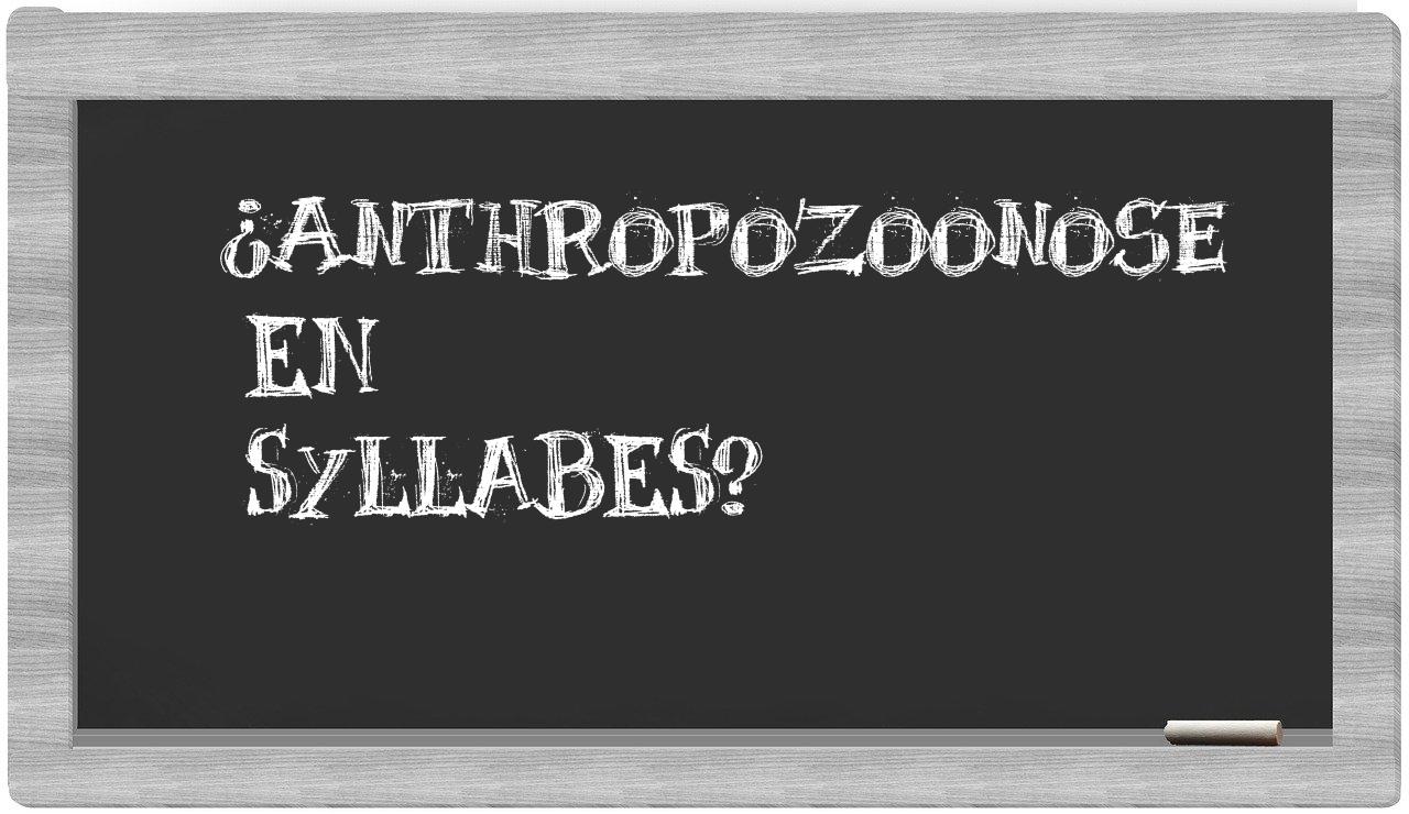 ¿anthropozoonose en sílabas?