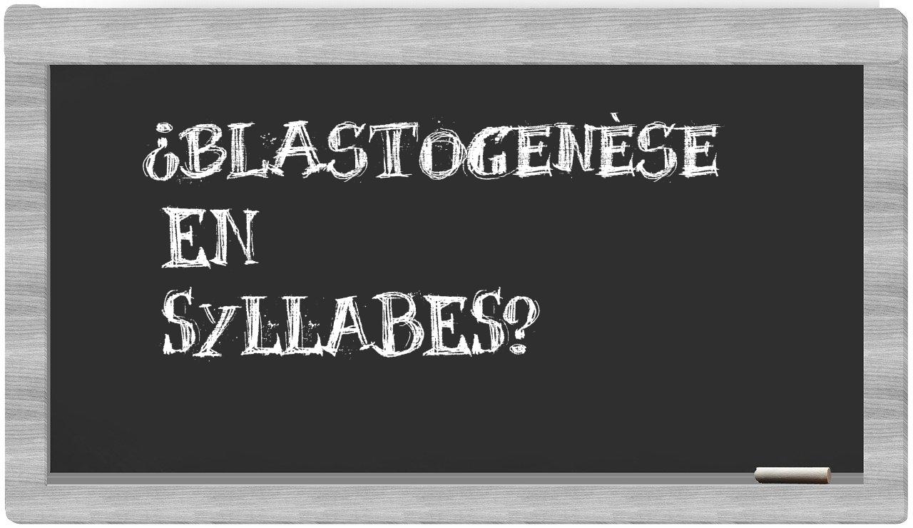¿blastogenèse en sílabas?