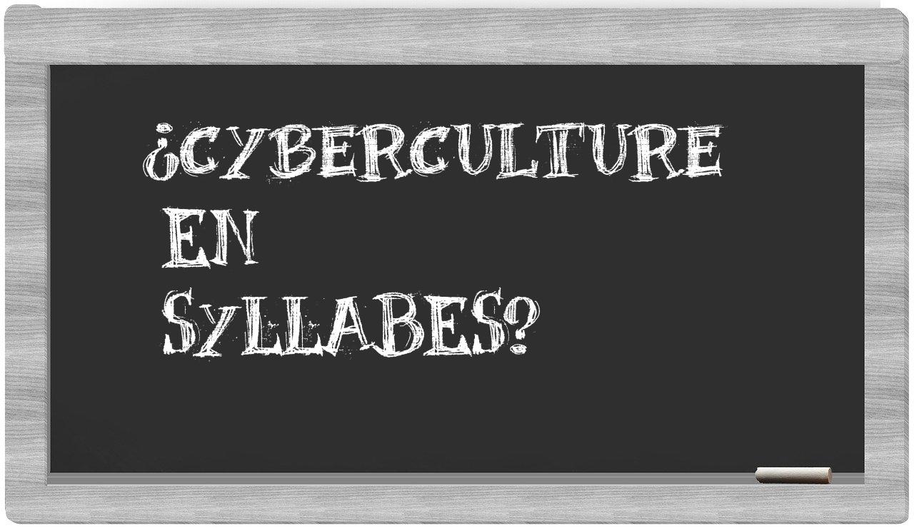 ¿cyberculture en sílabas?
