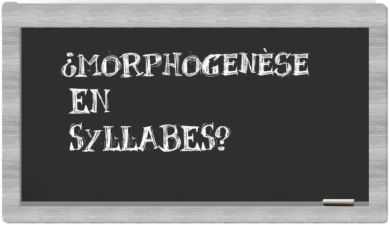 morphogenèse in syllables