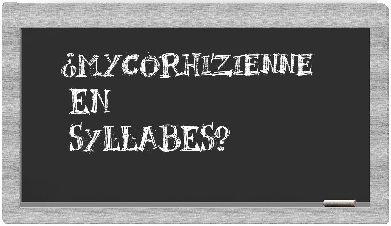 ¿mycorhizienne en sílabas?