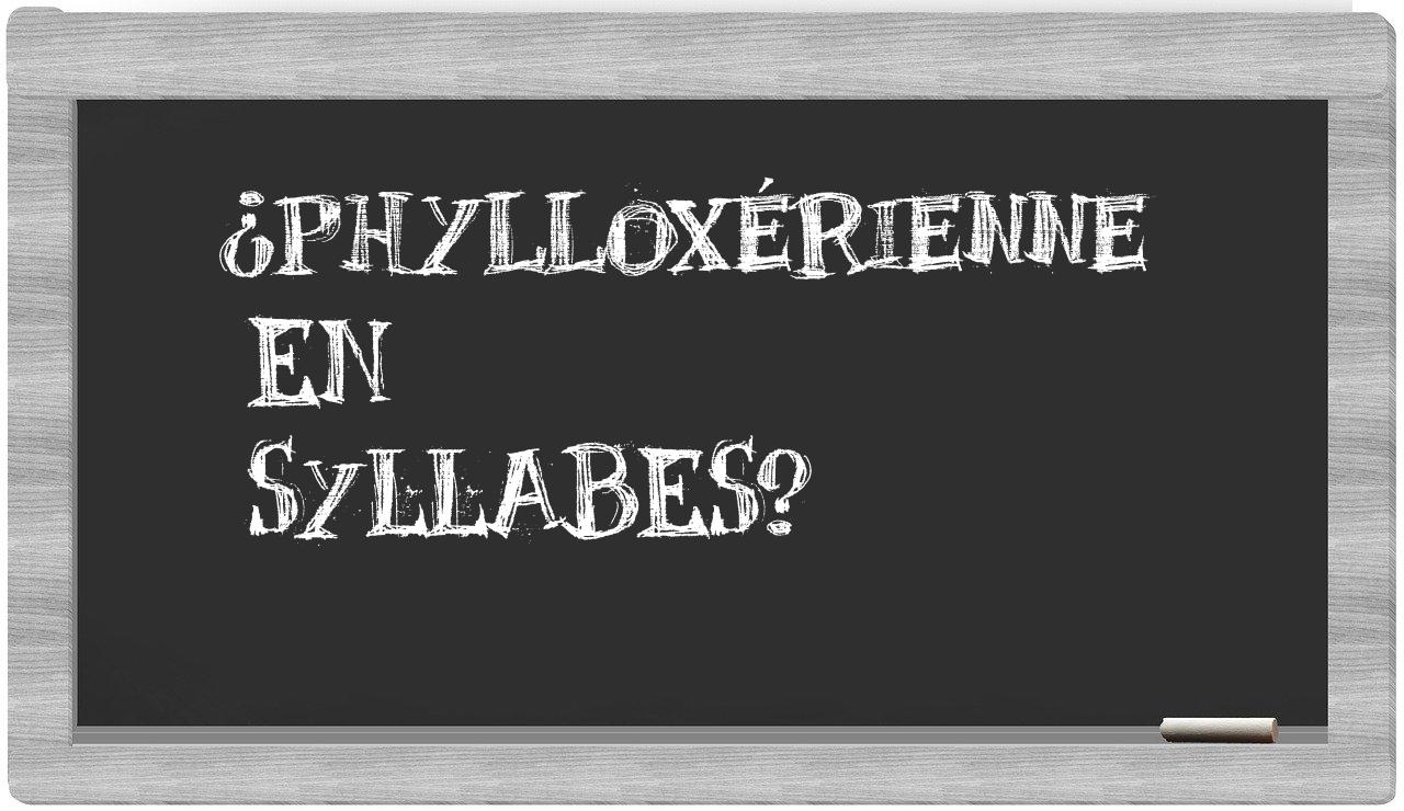 ¿phylloxérienne en sílabas?