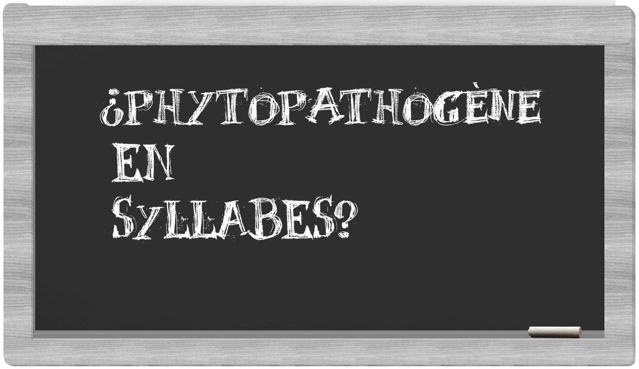 phytopathogène in syllables